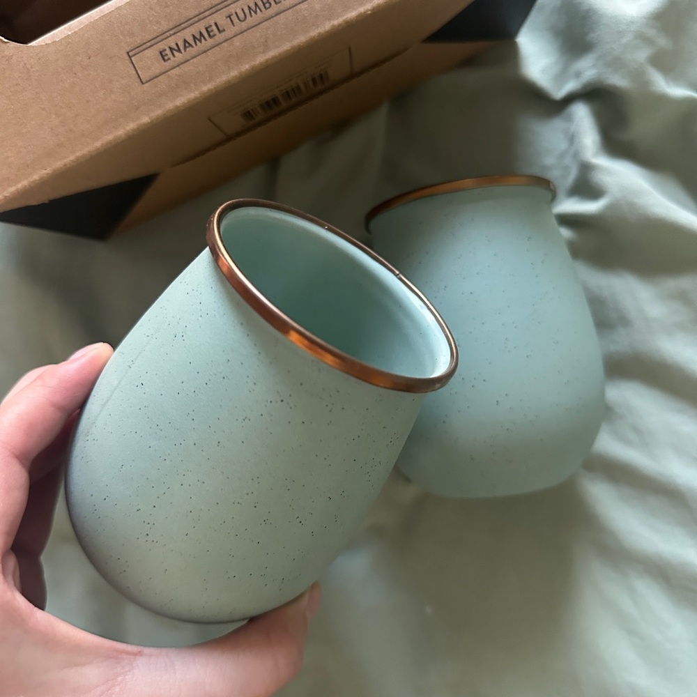 Barebones Enamel Travel Tumbler Set - Light/Sage Green